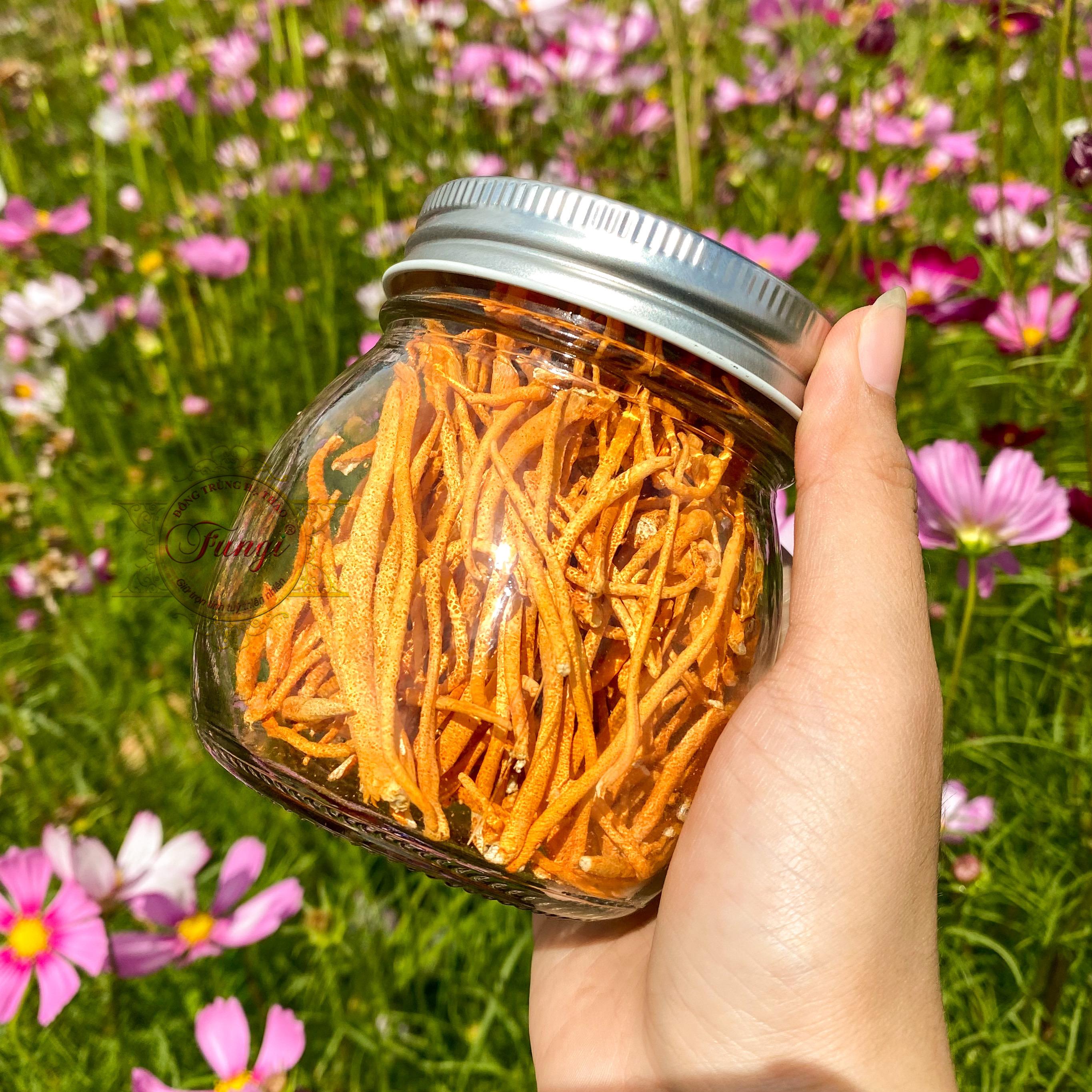 NẤM ĐÔNG TRÙNG HẠ THẢO SẤY THĂNG HOA