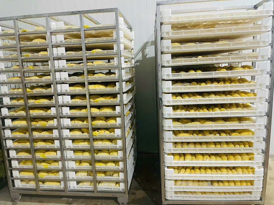 SẦU RIÊNG SẤY THĂNG HOA MYCOSPRING