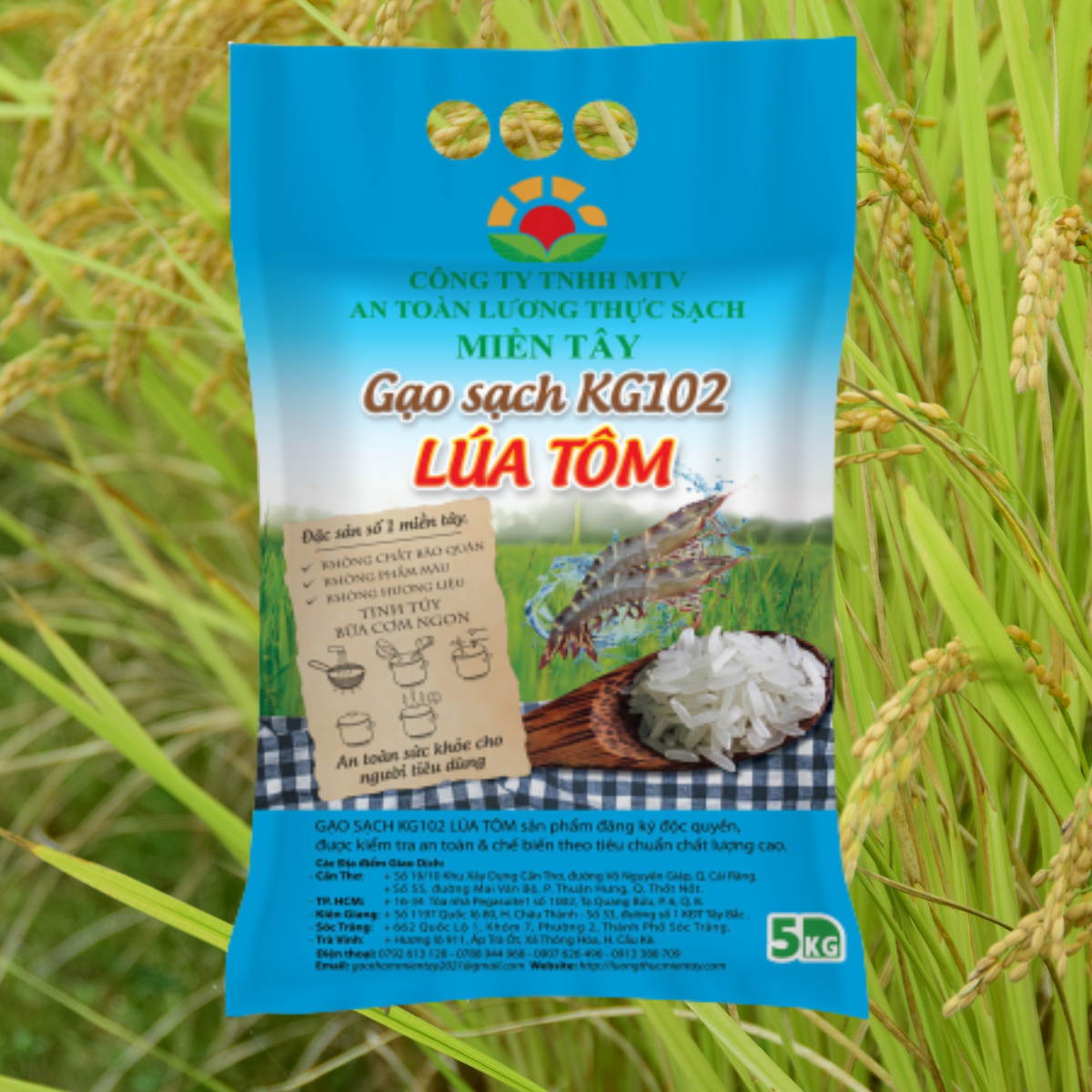 GẠO SẠCH KG102 LÚA TÔM