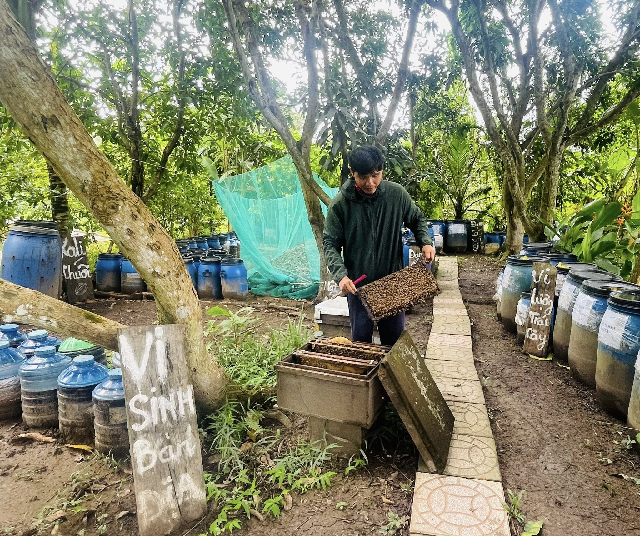 MẬT ONG NHÀ TRỌNG