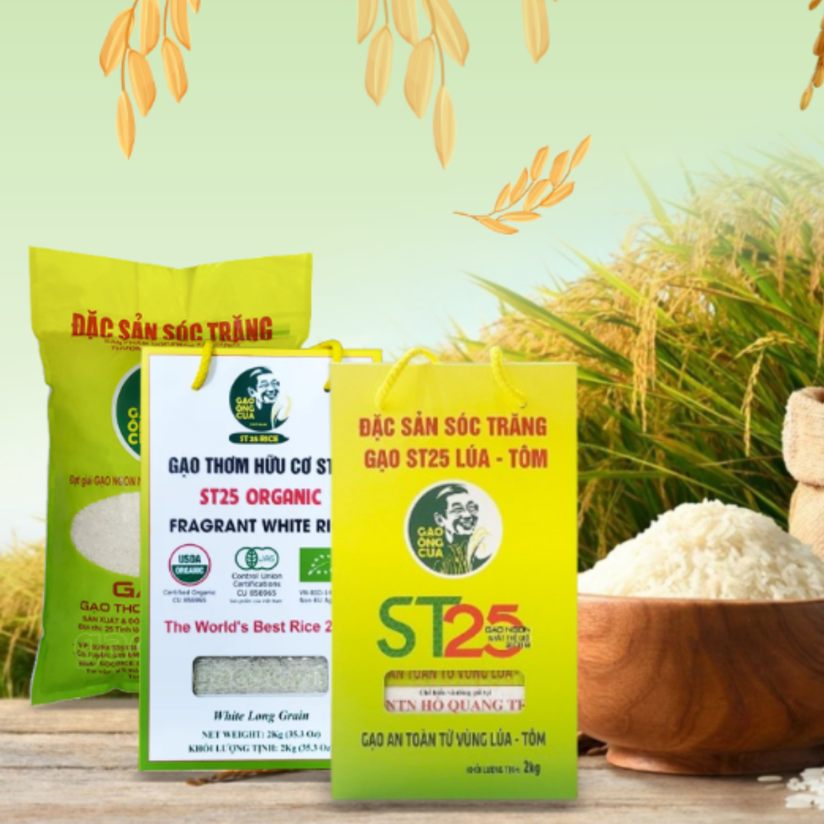 GẠO ST25 ÔNG CUA