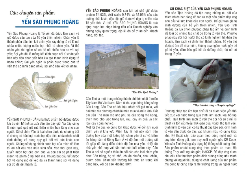 YẾN SÀO PHỤNG HOÀNG