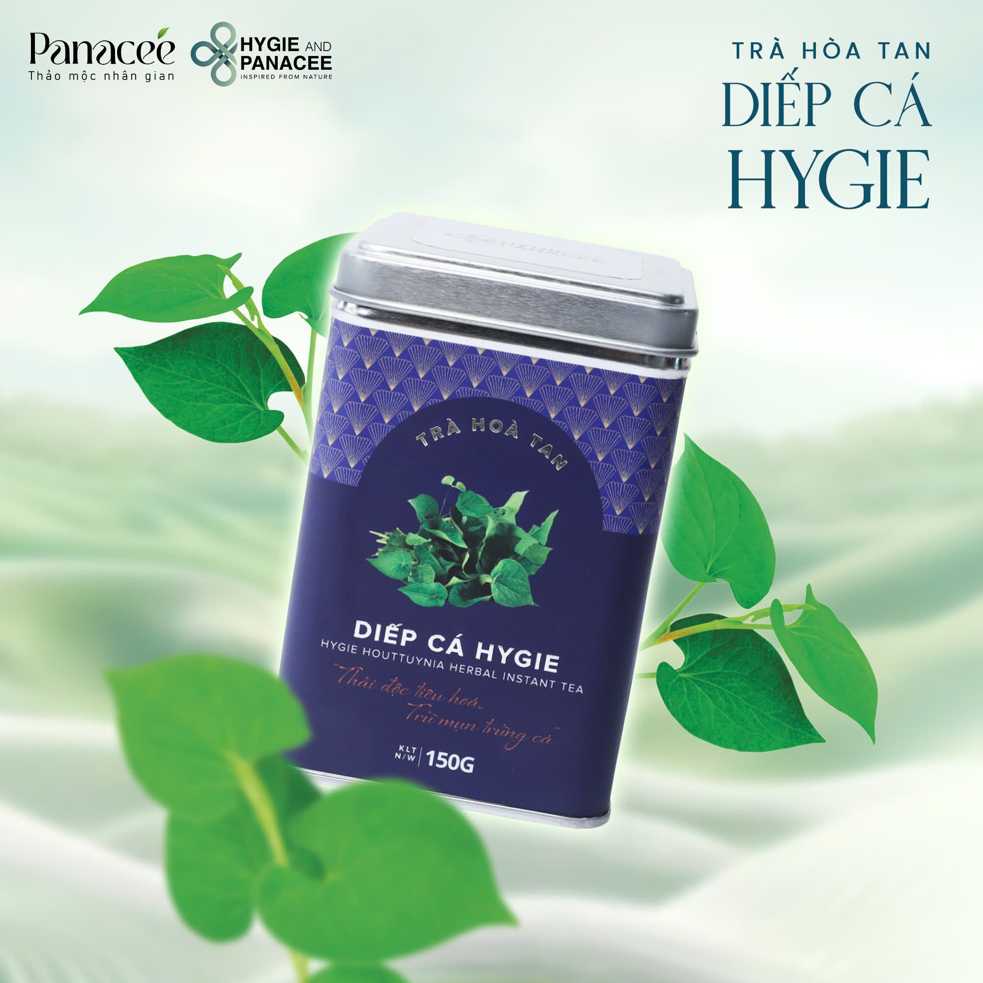 TRÀ DIẾP CÁ HYGIE