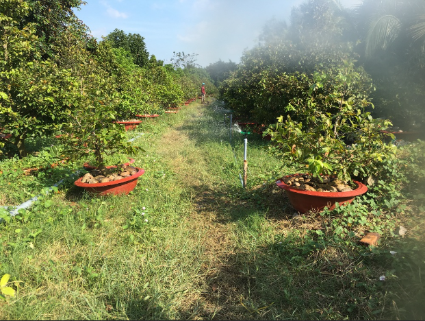 E-PUMP: THIẾT BỊ TƯỚI ĐIỀU KHIỂN TỪ XA TRONG NÔNG NGHIỆP