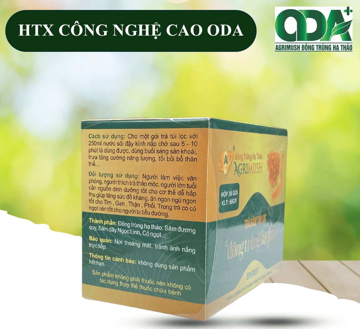 TRÀ SÂM ĐÔNG TRÙNG HẠ THẢO (TÚI LỌC)